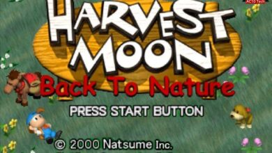 Download Cheat Harvest Moon Back To Nature Android Lengkap - AC10 Tech