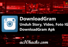 DownloadGram Story IG, Video, Foto Download Online 2025 - AC10 Tech