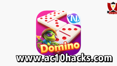 Higgs Domino RP Versi 1.70 Apk Mod Lama & Terbaru 2025 - AC10 Tech