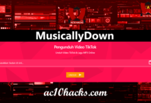 MusicallyDown Com IG YouTube TikTok FB MP3 Download 2024 - AC10 Tech