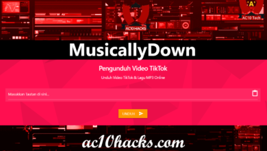 MusicallyDown Com IG YouTube TikTok FB MP3 Download 2024 - AC10 Tech