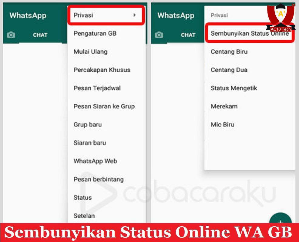 Sembunyikan Status Online WA GB