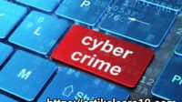 Jenis Cyber Crime yang Harus Diketahui