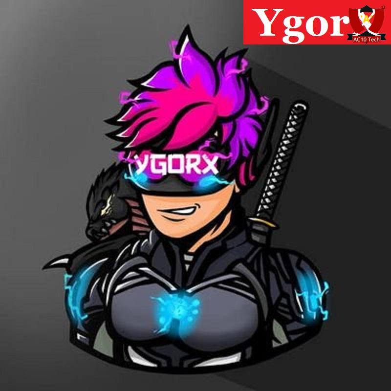YgorX