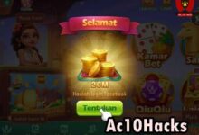 1500+ Kode Penukaran Higgs Slot Hari Ini 2024 [AKTIF] - AC10 Tech