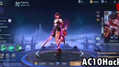 Build Karina Tersakit 2025 Top Global - AC10 Tech