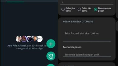 Whatsapp Aero v9.63 2024, Link Download APK - AC10 Tech