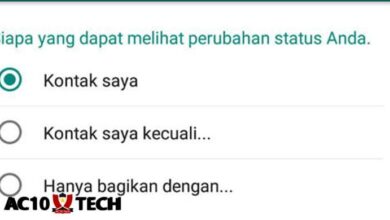 Cara Agar Status WA Dilihat Banyak Orang 2025 - AC10 Tech