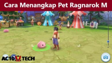 Cara Menangkap Pet Ragnarok Eternal Love Mobile 2024 - AC10 Tech