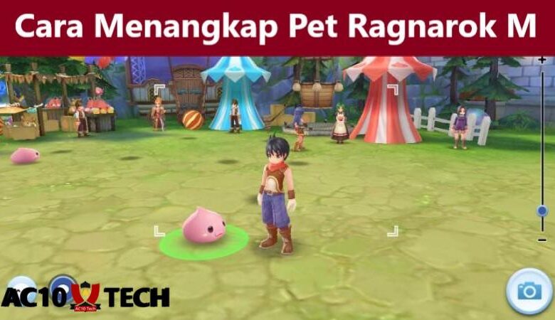 Cara Menangkap Pet Ragnarok Eternal Love Mobile 2024 - AC10 Tech