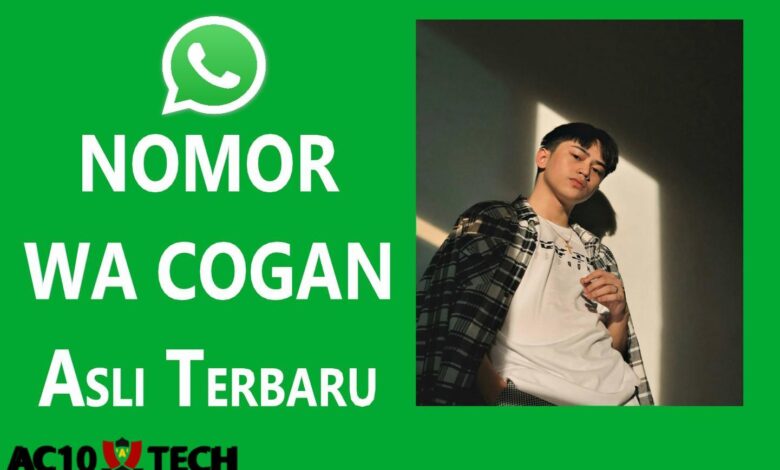 1001+ Nomor WA Cogan Kelas 6-12 Terbaru 2024, Dijamin Asli! - AC10 Tech