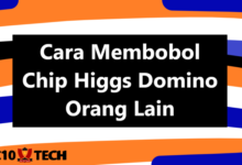 3 Cara Membobol Chip Higgs Domino Orang Lain 2024 - AC10 Tech