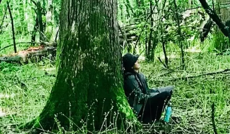 Revitalize Your Mind and Body with the Japanese Art of Forest Bathing