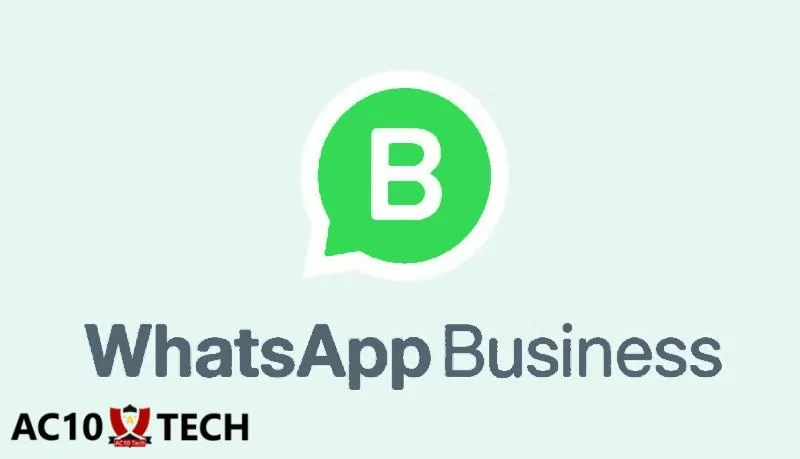 Download WhatsApp App Business