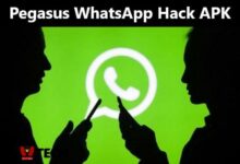 Pegasus WhatsApp Hack APK Download 2024 - AC10 Tech