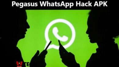 Pegasus WhatsApp Hack APK Download 2024 - AC10 Tech