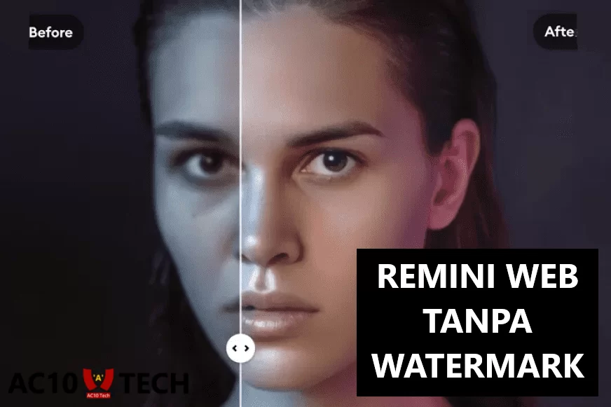 Remini Web Mod APK Tanpa Watermark Gratis