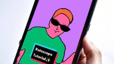 Filter Rotoscope TikTok 2024, Begini Cara Pakainya! - AC10 Tech