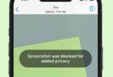 Apakah WhatsApp Memberi Notif Saat Mengambil Screenshot - AC10 Tech