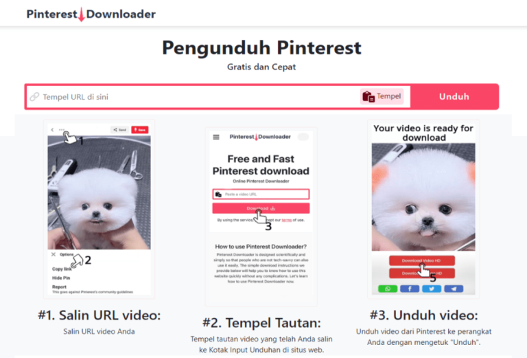 Cara Download Video Pinterest di Pinterest Video Downloader