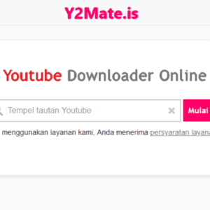 Y2Mate Youtube Downloader Online