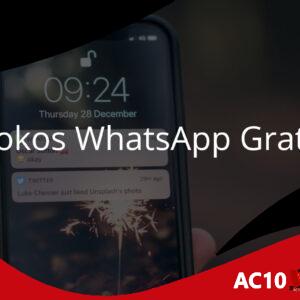 Nokos WhatsApp Gratis