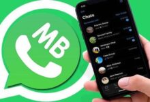 Cara Mengaktifkan dan Menyesuaikan Pengaturan Privasi di MB WhatsApp untuk Keamanan Lebih Baik - AC10 Tech