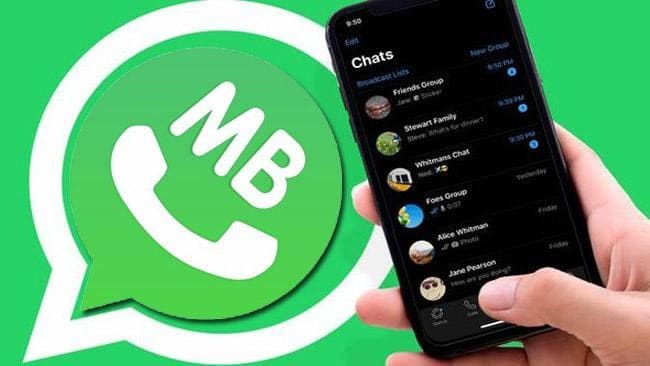 Cara Mengaktifkan Pengaturan Privasi di MB WhatsApp