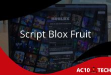 Script Blox Fruit Auto Farm, Auto Raid dan Smooth - AC10 Tech