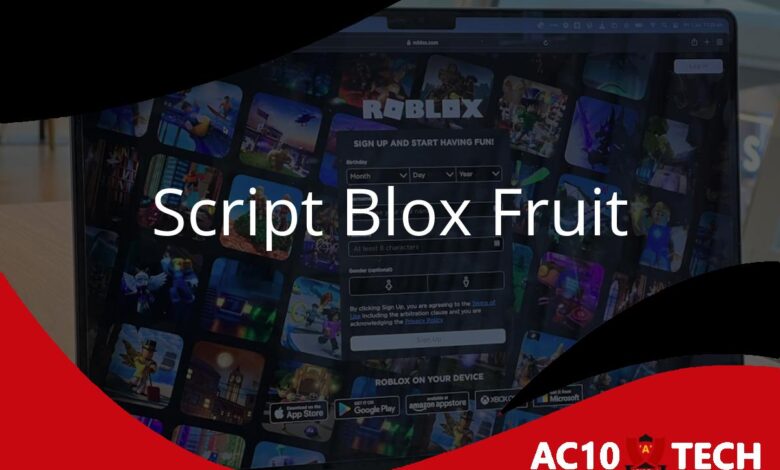 Script Blox Fruit Auto Farm, Auto Raid dan Smooth - AC10 Tech