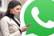 Hindari Gangguan! Cara Ampuh Matikan Panggilan WhatsApp Sementara